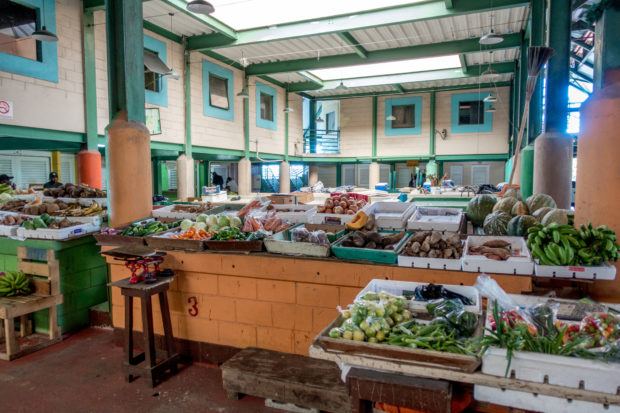 According to our research, visiting St. John's Market is one of the top things to do in Antigua.