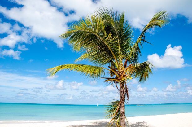 Relaxing on the Best Beach in Antigua There are many great things to do in Antigua, but spending the day on Dickenson Bay beach may be the best of them all. There are 365 beaches in Antigua!