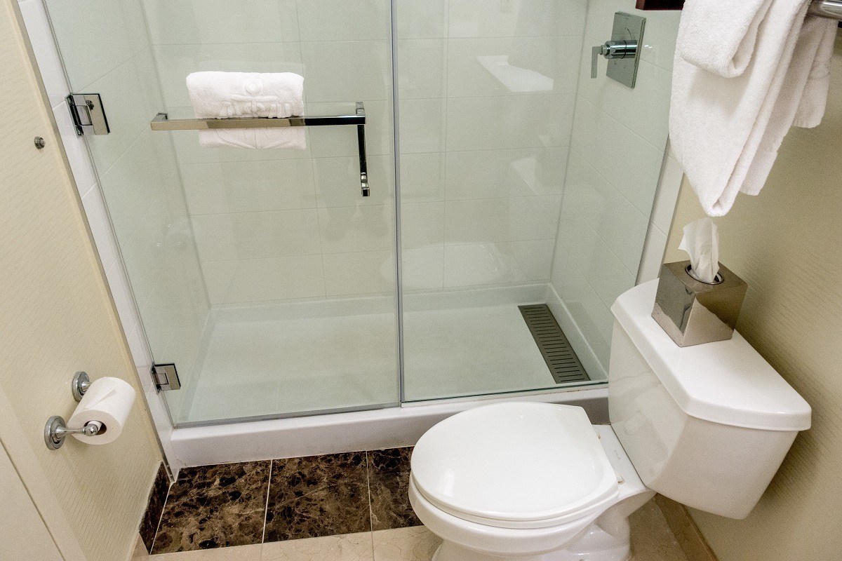 Toilet and shower in bathroom