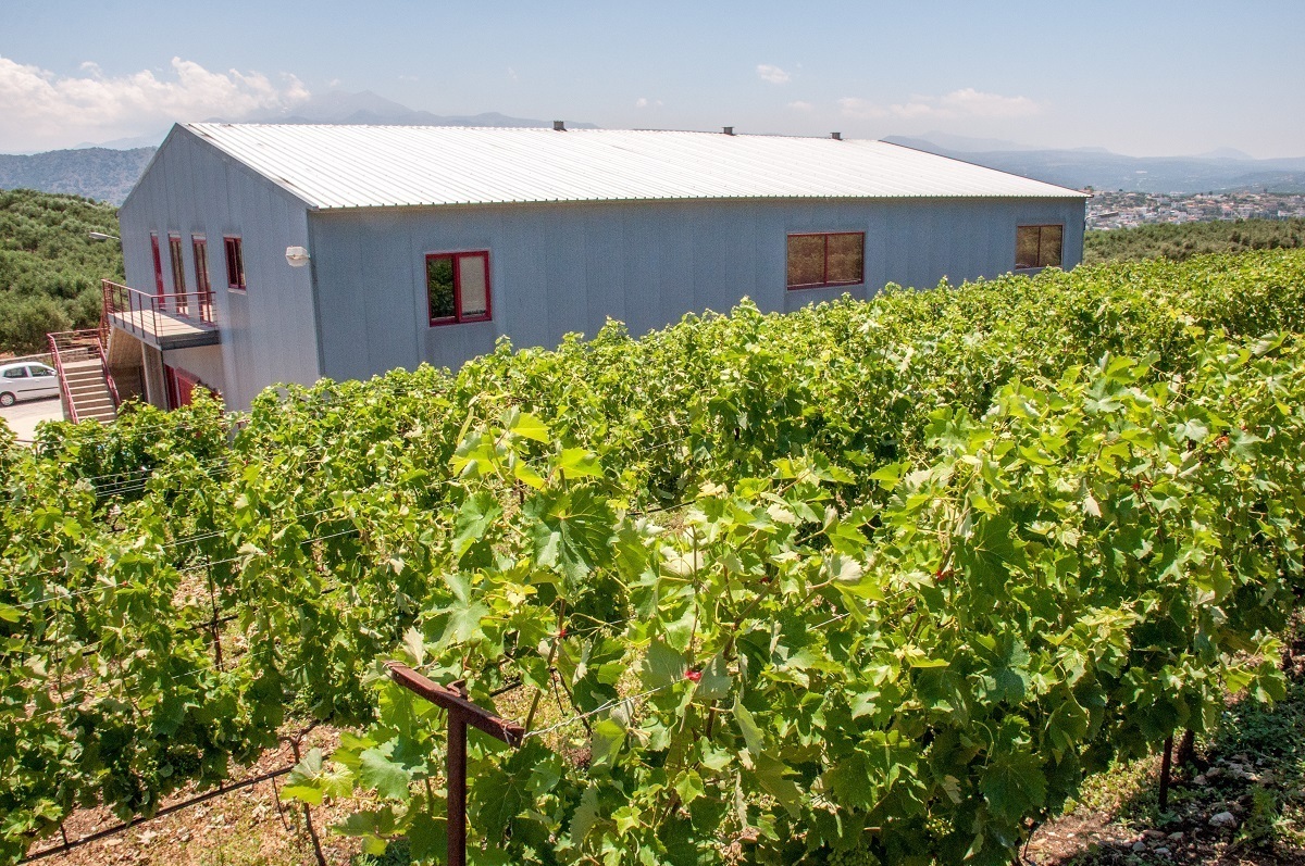 Vineyard and tasting room at Klados Winery