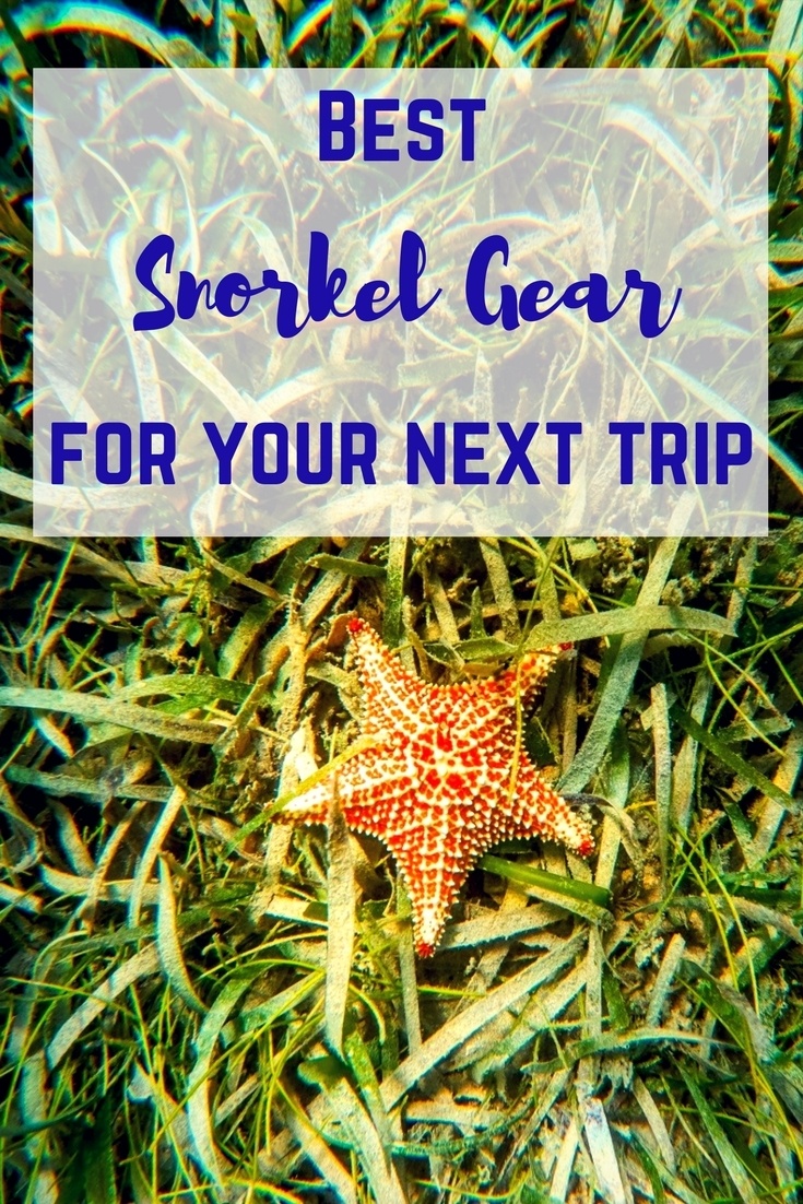 There are few better ways to enjoy the natural world than snorkeling. The best snorkel gear is comfortable, won’t leak, and lets you breathe easily while exploring all there is to see underwater.