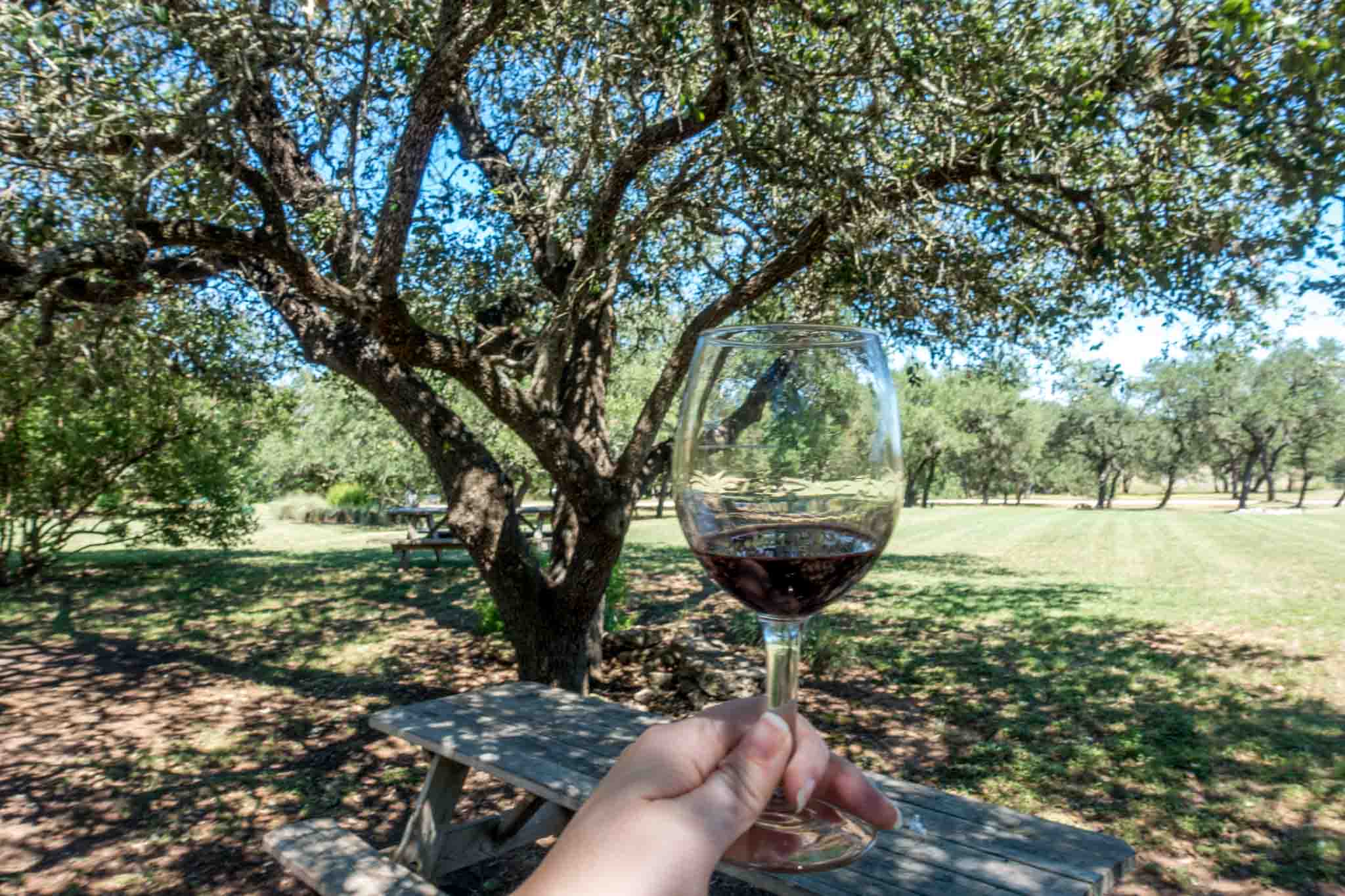Spend time at Duchman Family Winery--a great place to be when you're wondering what to do in Dripping Springs, Texas