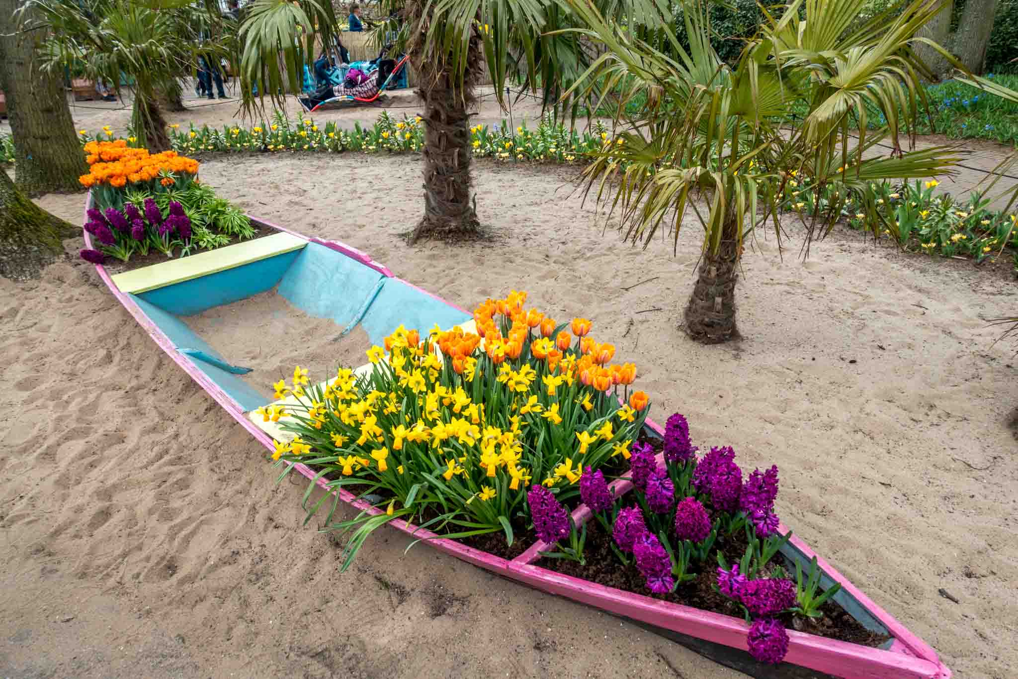 One of the outdoor Keukenhof flower displays