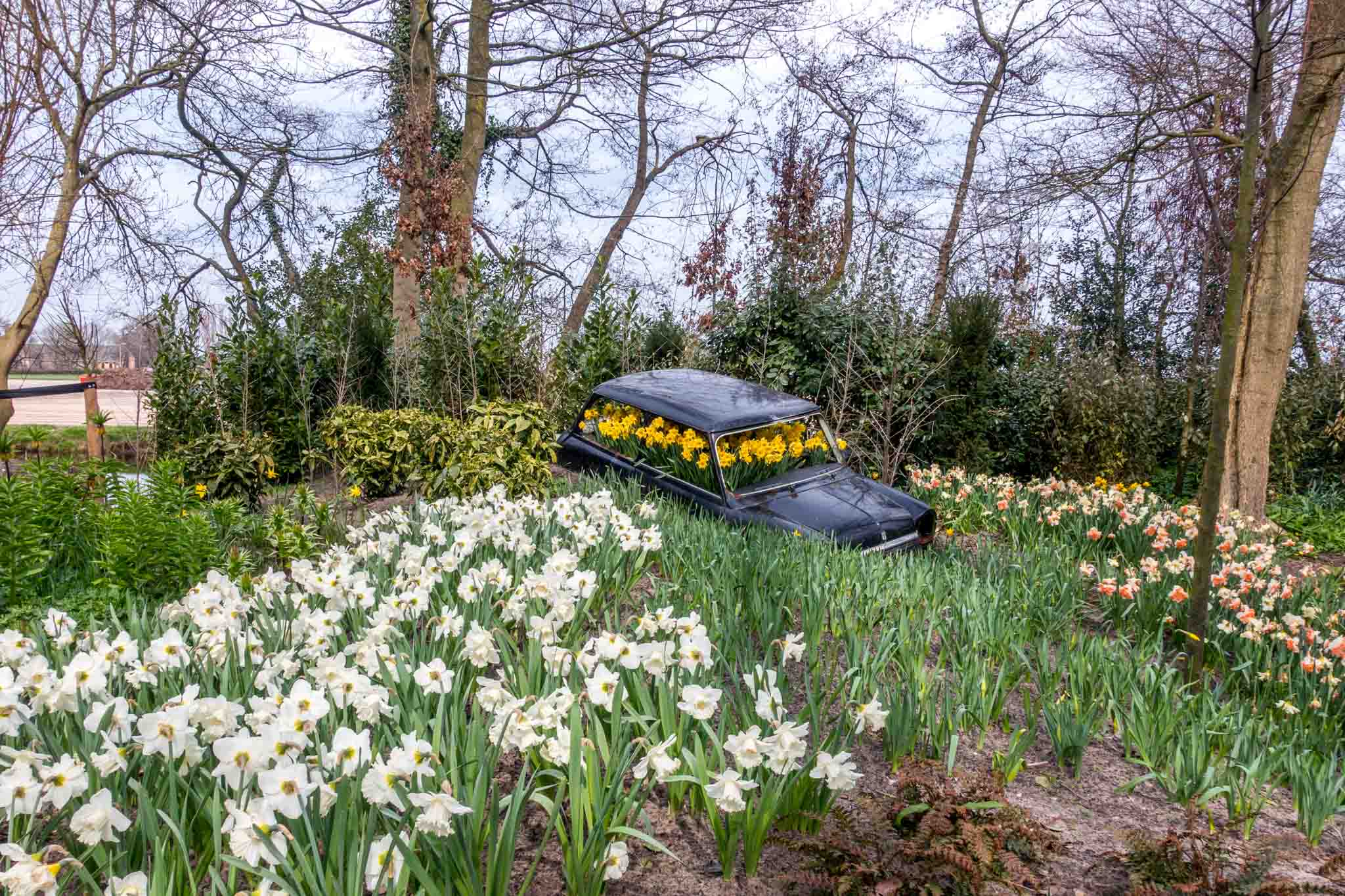 Some of the flower displays are unexpected at Keukenhof near Amsterdam, Netherlands