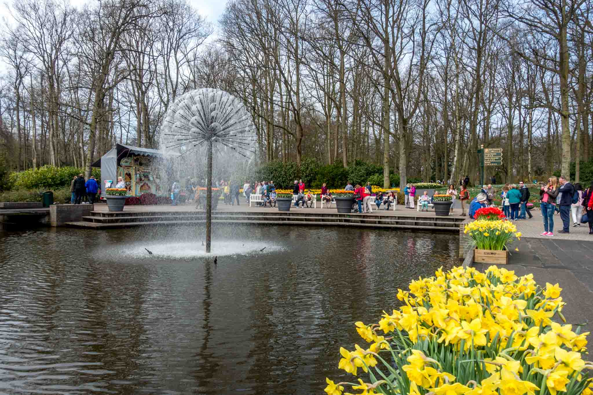 Fountain and flowers at Keukenhof park