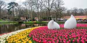 How to Make the Most of Your Trip to Keukenhof Gardens Keukenhof gardens a half-hour from Amsterdam is a gorgeous spot that's one of the Netherlands most famous attractions