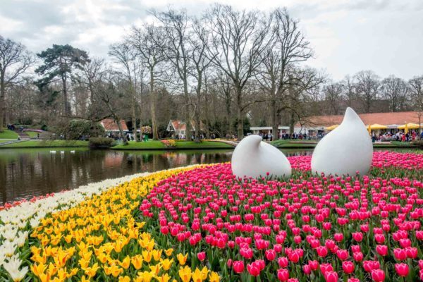 How to Make the Most of Your Trip to Keukenhof Gardens Keukenhof gardens a half-hour from Amsterdam is a gorgeous spot that's one of the Netherlands most famous attractions