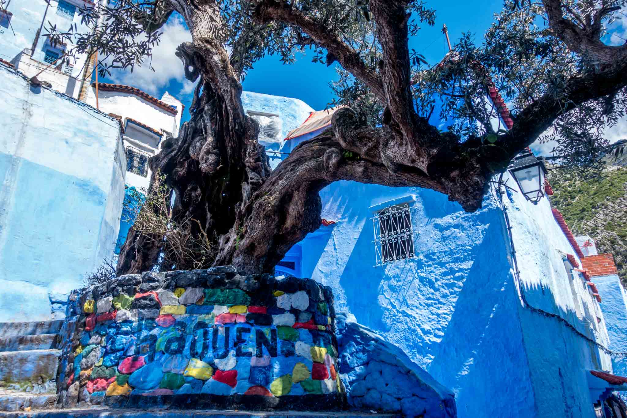 Chefchaouen, the Blue Pearl of Morocco, is known as "Chaouen" by the locals