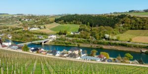 The Best European Wine You’ve Probably Never Heard Of In the Moselle River valley, it seems that every inch is covered in vines to produce Luxembourg wine