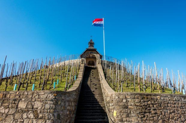 Vines growing near the Saint Donat Chapel | Moselle Luxembourg
