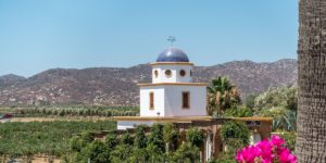 Mexico’s Intriguing Wine Country: The Valle de Guadalupe In Baja Mexico, we discovered the amazing virtues of Mexican wine. This is the complete guide to the Valle de Guadalupe wineries.