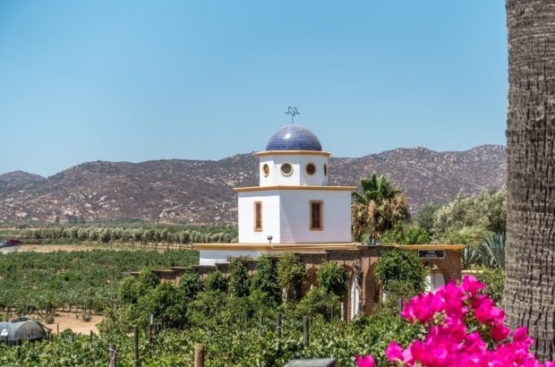 Mexico’s Intriguing Wine Country: The Valle de Guadalupe In Baja Mexico, we discovered the amazing virtues of Mexican wine. This is the complete guide to the Valle de Guadalupe wineries.