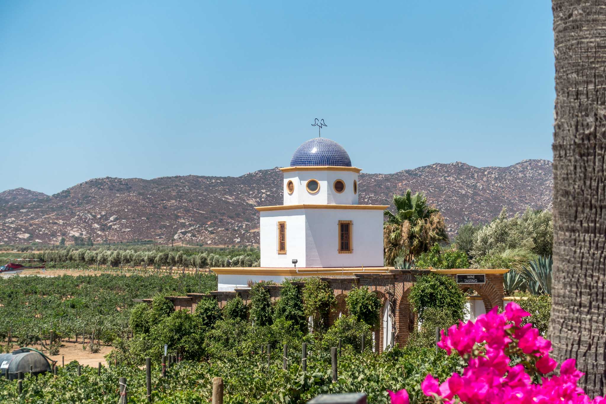 Valle De Guadalupe Map