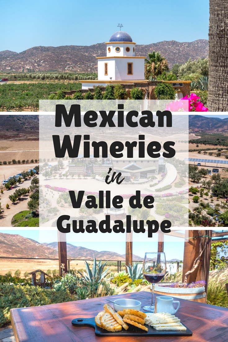 Complete Guide to the Valle de Guadalupe Wineries in Baja, Mexico