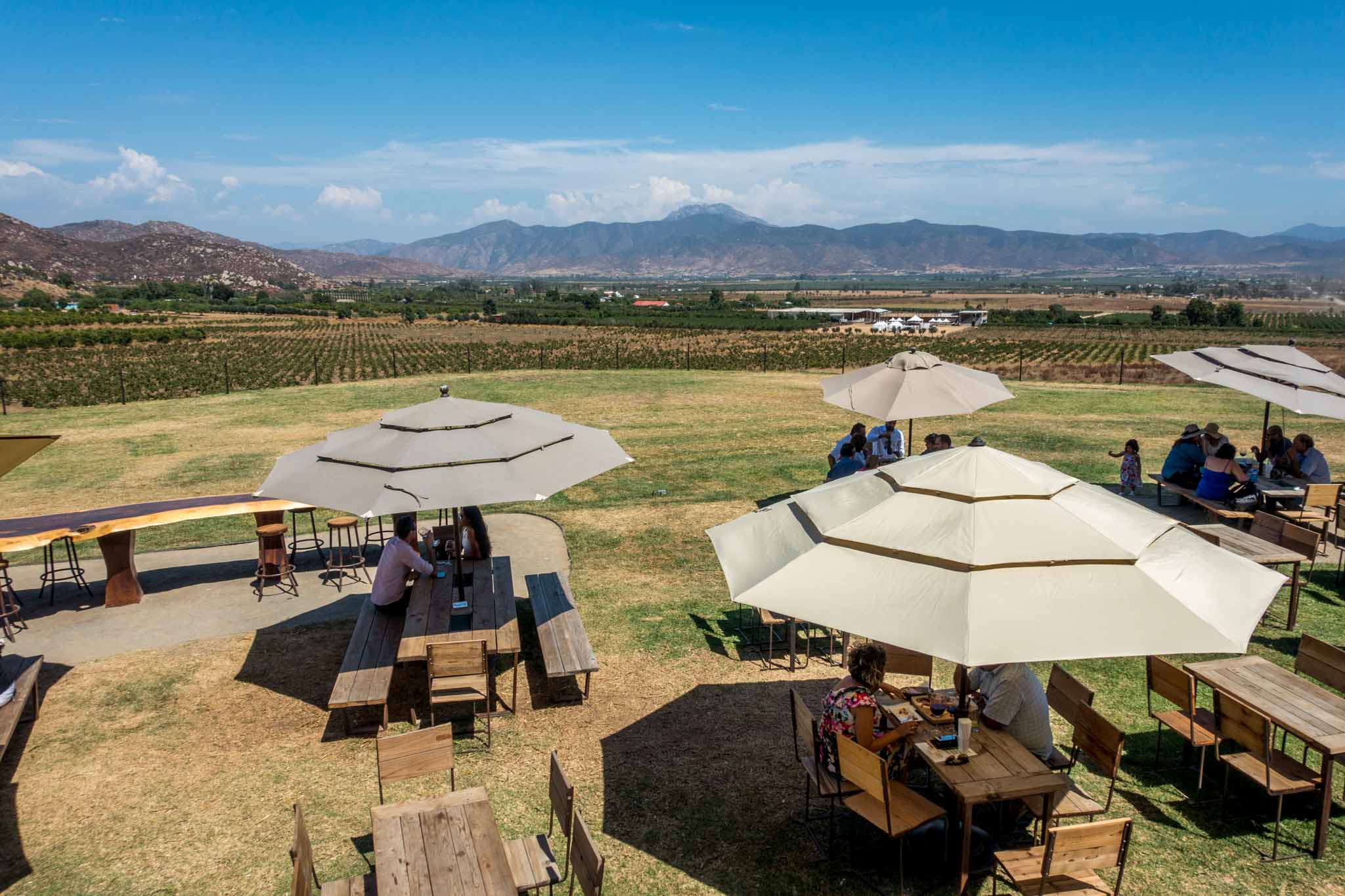 Complete Guide to the Valle de Guadalupe Wineries in Baja, Mexico