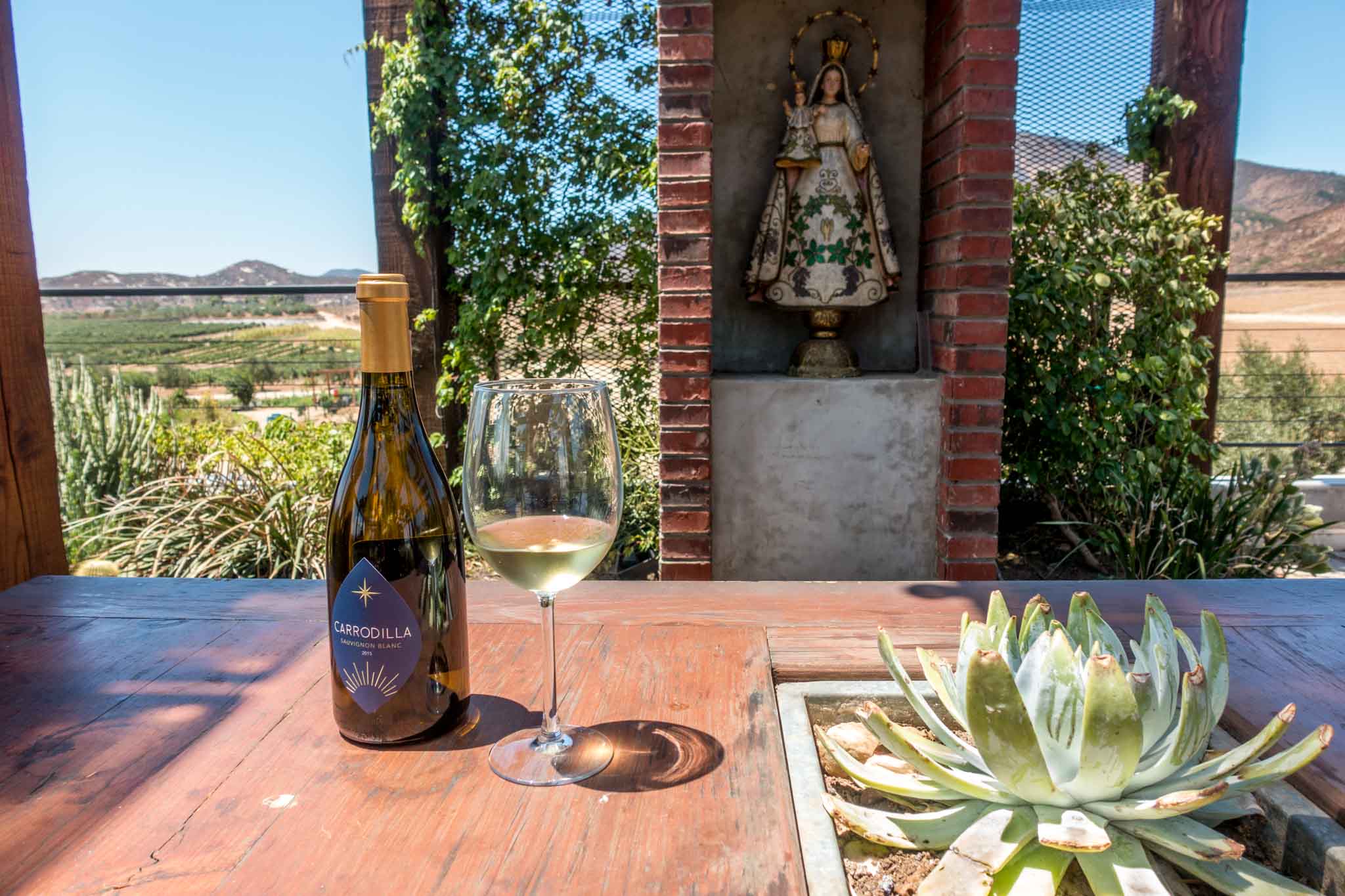 Enjoying the wines from the Mexico wine country in a garden