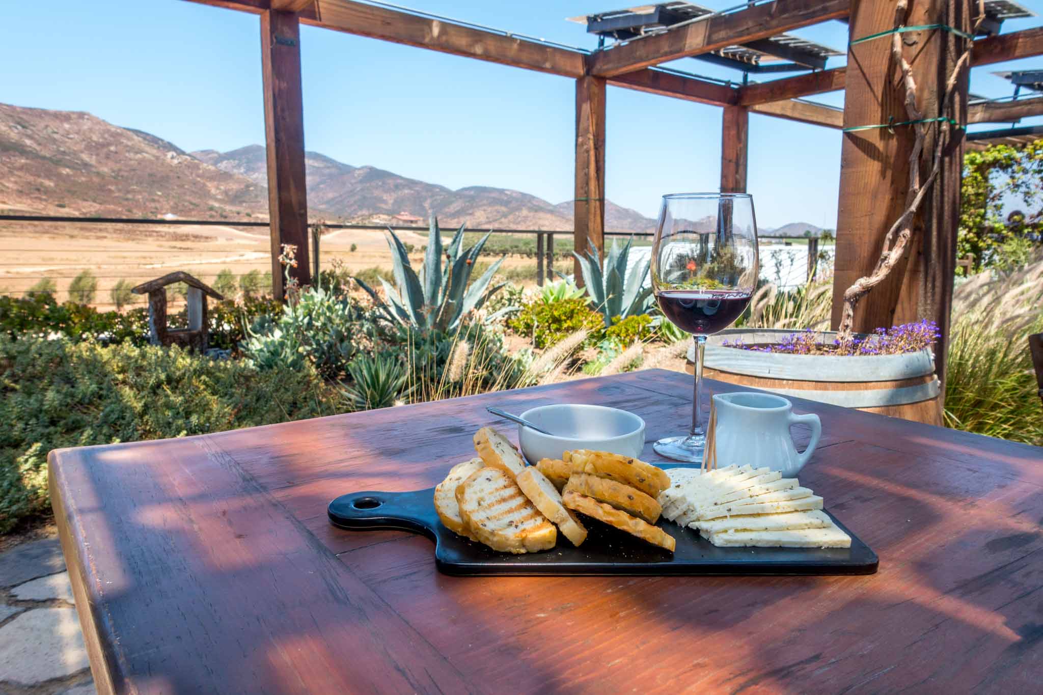 Complete Guide to the Valle de Guadalupe Wineries in Baja, Mexico