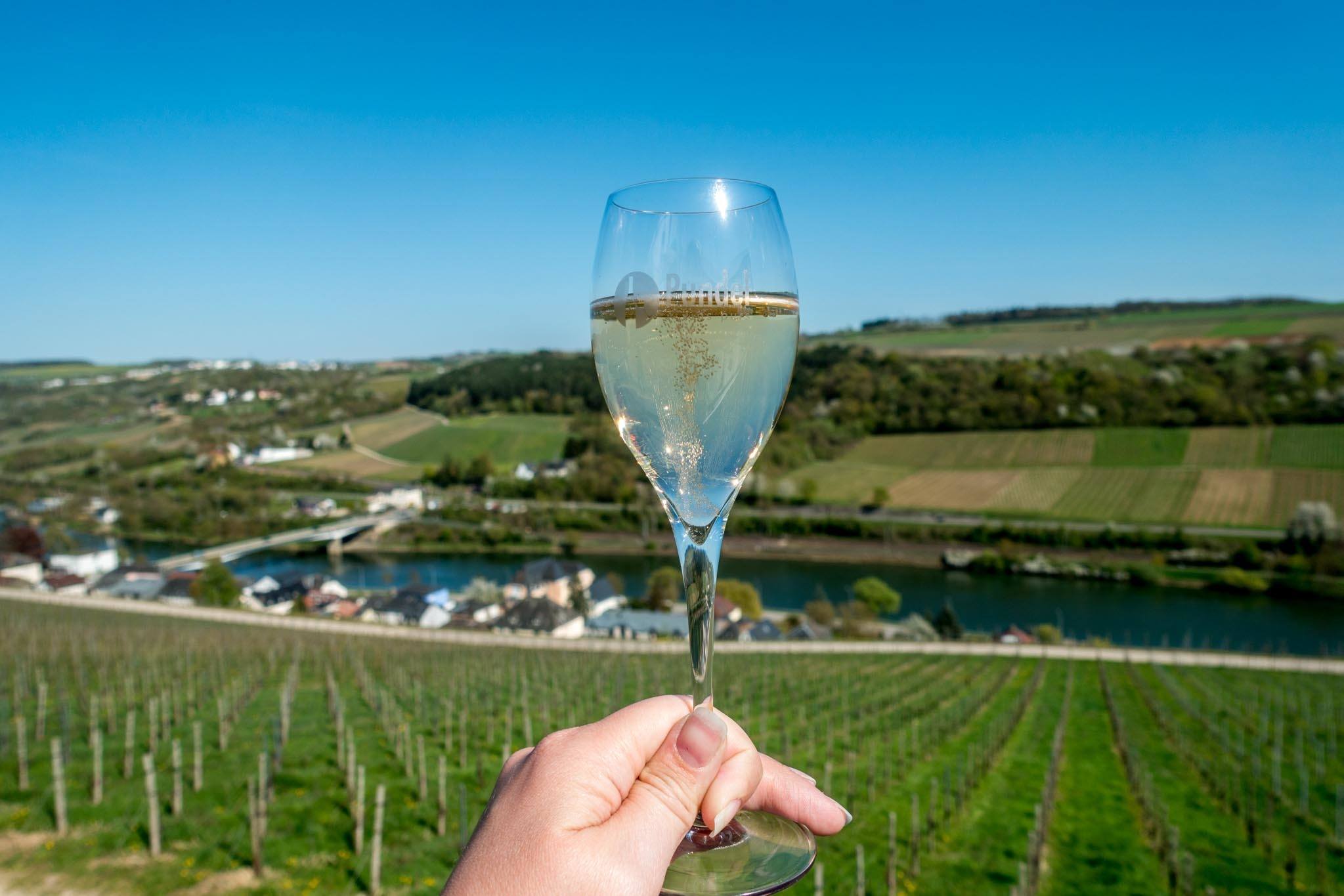 Wine tasting along the Moselle River is one of the most fun Luxembourg activities.