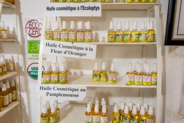 Buy argan oil at pharmacies or in the area near Essaouira to ensure it's authentic | travel advice Morocco