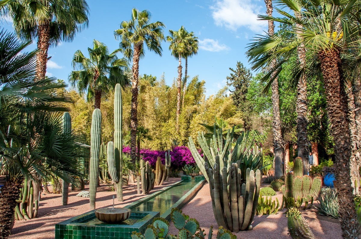 Visiting Morocco should include a trip to Jardin Majorelle in Marrakech