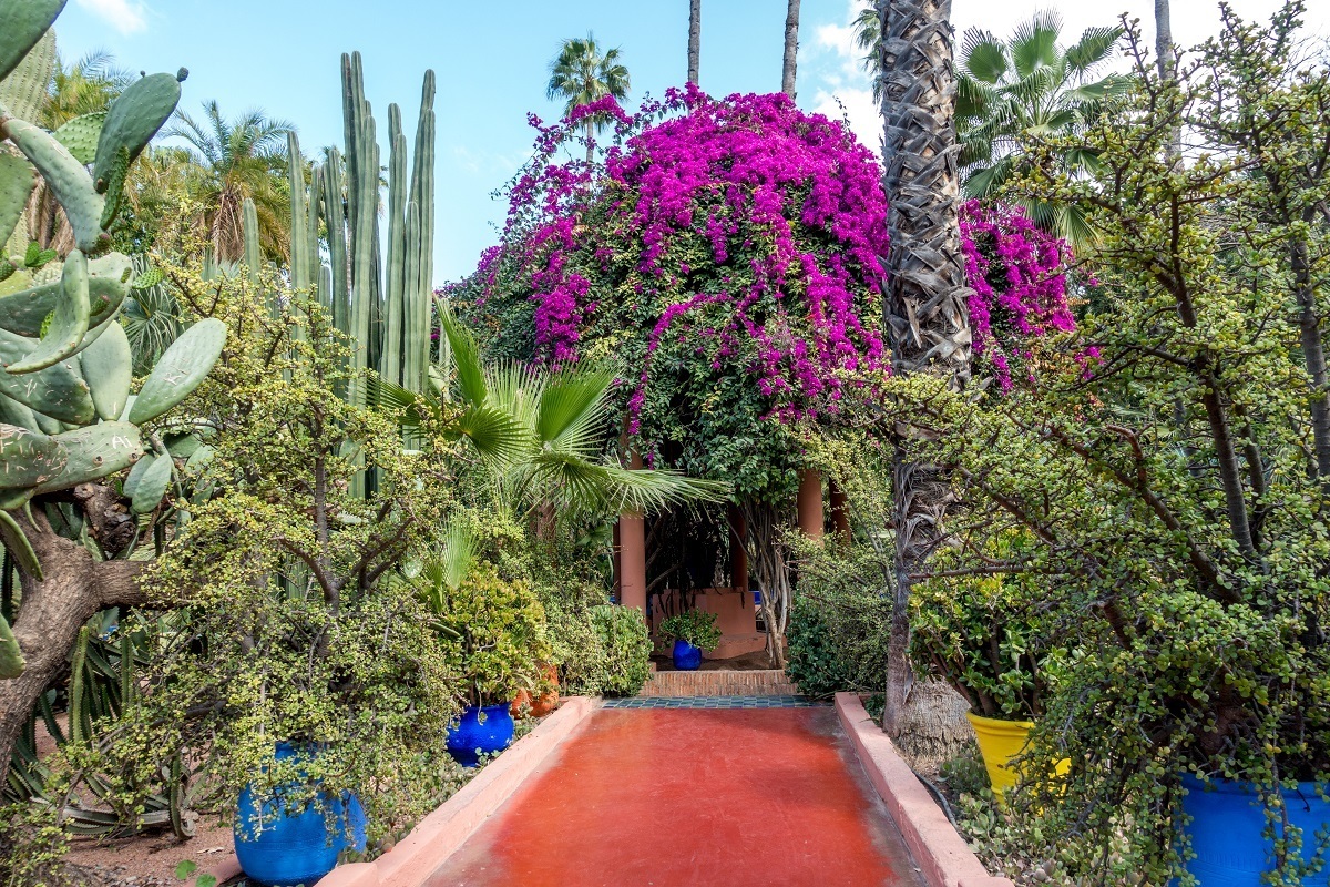 Travel to Morocco advice: leave plenty of time for your visit to Jardin Majorelle