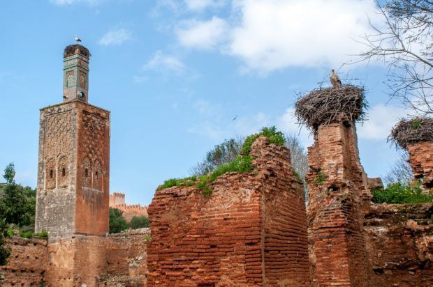 When you travel Morocco, watch out for storks who often build nests on the tops of buildings like this instance at the Chellah in Rabat
