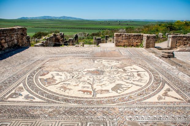 The mosaics at Volubilis are worth seeing when you travel to Morocco
