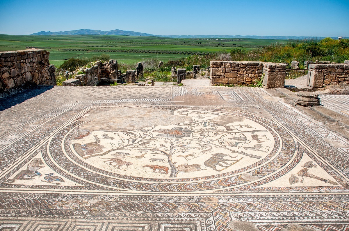 The mosaics at Volubilis are worth seeing when you travel to Morocco