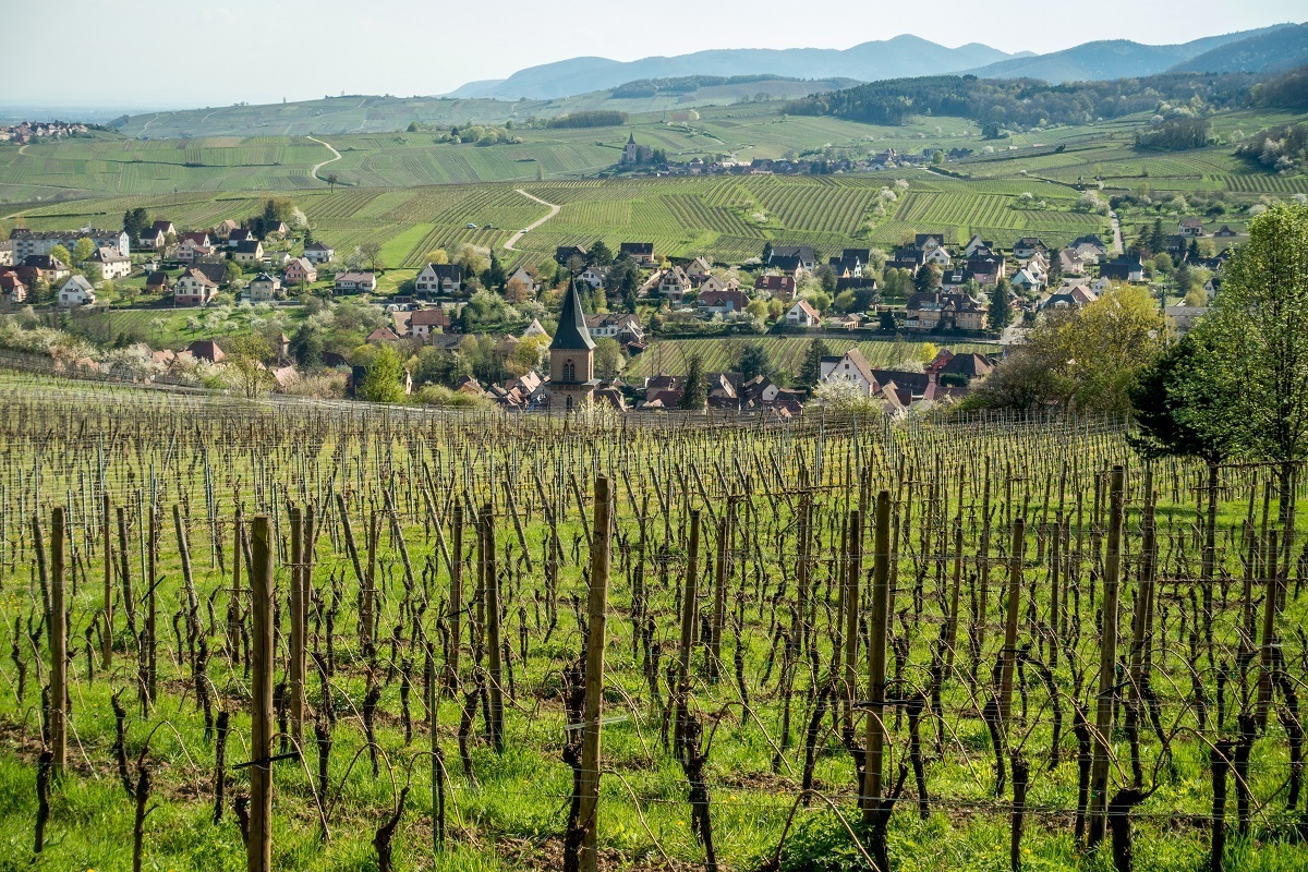 There are 100 wine-growing villages along the Route du Vin Alsace in France