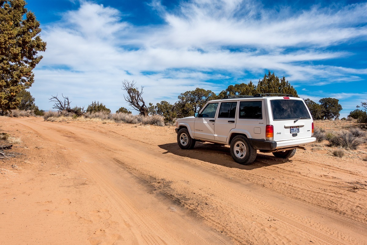 Instead of taking one of the expensive White Pocket tours, why not have an adventure and drive yourself in a 4x4 vehicle? Your self-guided White Pocket tour can be a tremendous adventure. Pick up a rental car in Kanab and hit the road!
