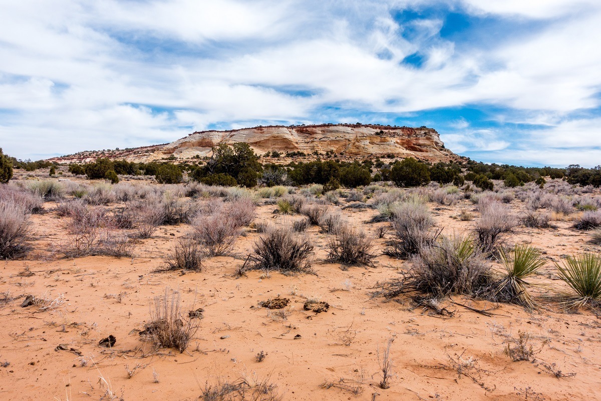 Bluff in the Paria Canyon-Vermilion Cliffs National Monument area