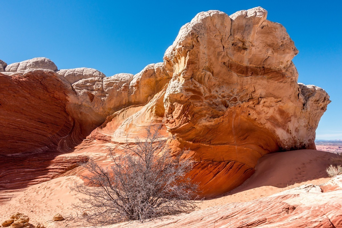 Rock formations similar to The Wave can be found in the White Pocket area of the Vermilion Cliffs Wilderness Area.