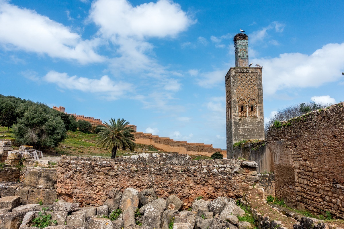 Minaret and stork at the Chellah UNESCO World Heritage Site in Rabat, Morocco