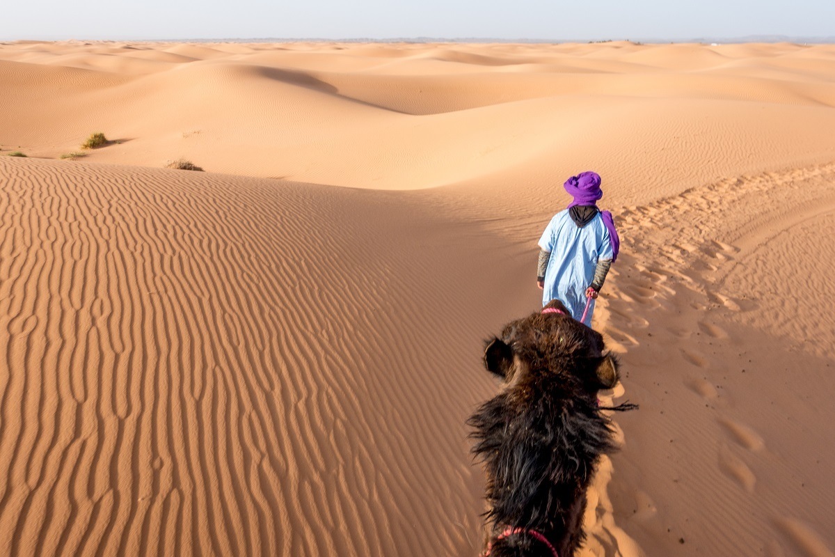 Man leading camel through the sand dunes of Erg Chebbi, Morocco
