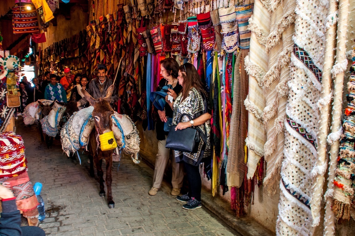 Donkey carrying goods through Fez medina