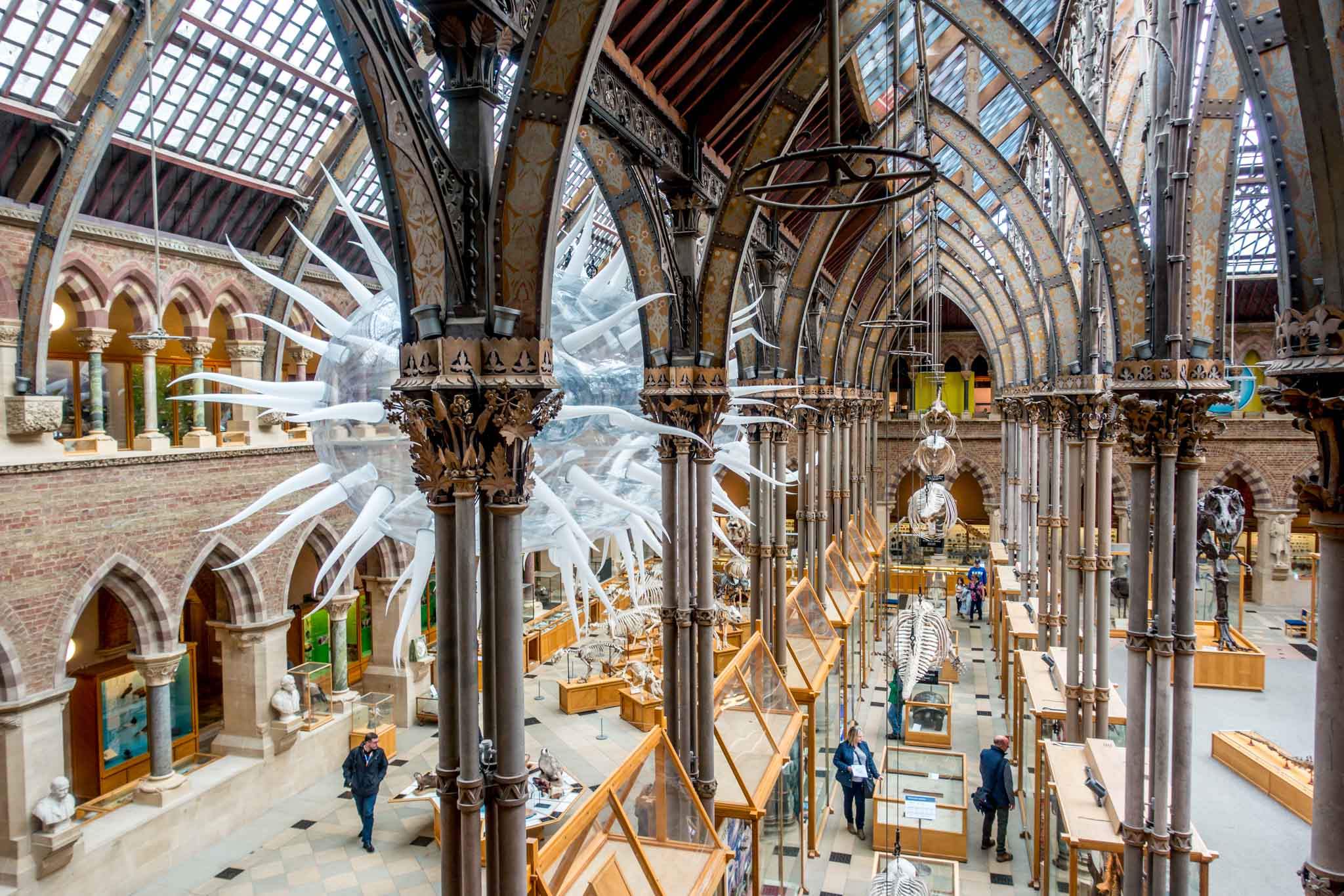 Skeletons and exhibits in the Museum of Natural History