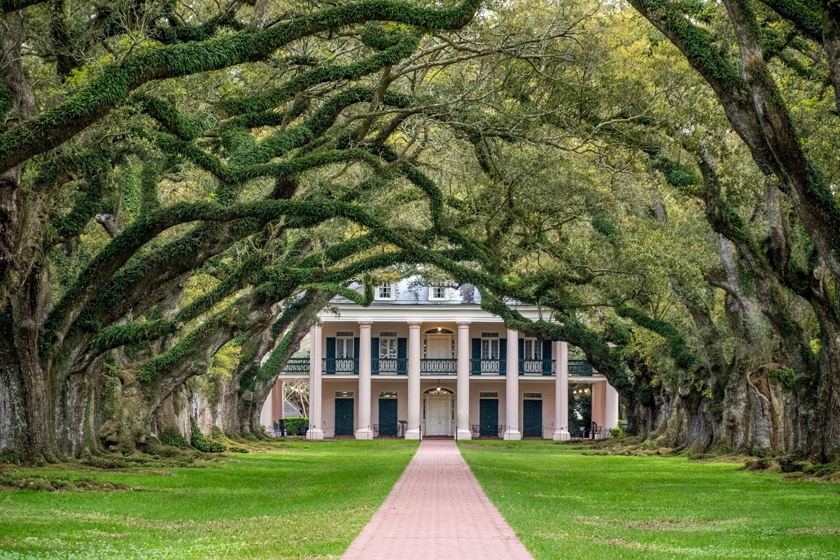 Seeing the magnificent Oak Alley Plantation is a must when you visit Louisiana