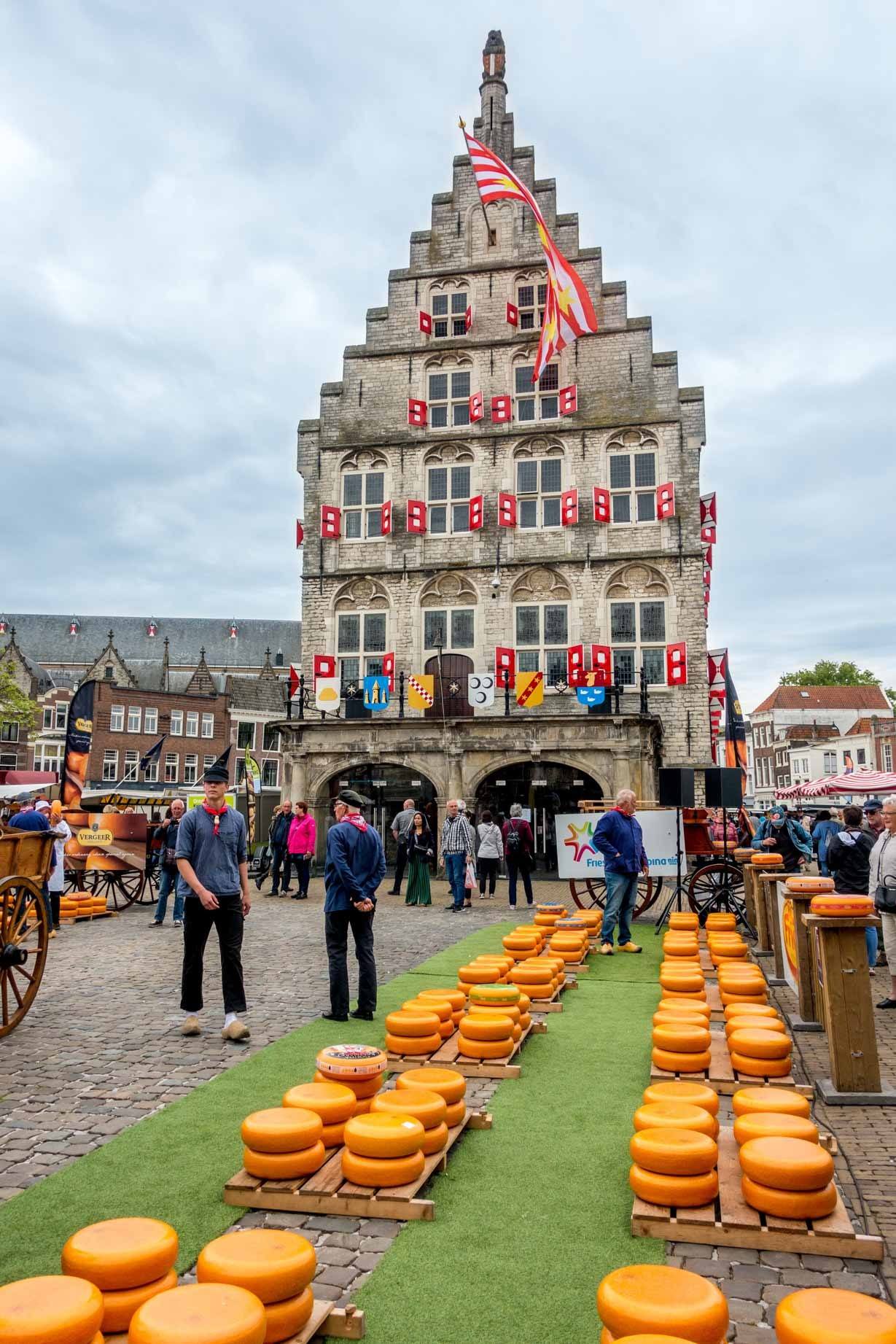 Rows of cheese lined up for the Thursday Gouda Cheese Market