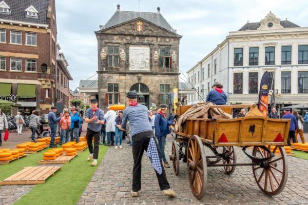 The Goodness of Gouda: Exploring the Famous Cheese Market and More Thursday mornings in the spring and summer, the area around town hall fills with the Gouda Cheese Market, a market re-enacting the sale of the town's namesake cheese