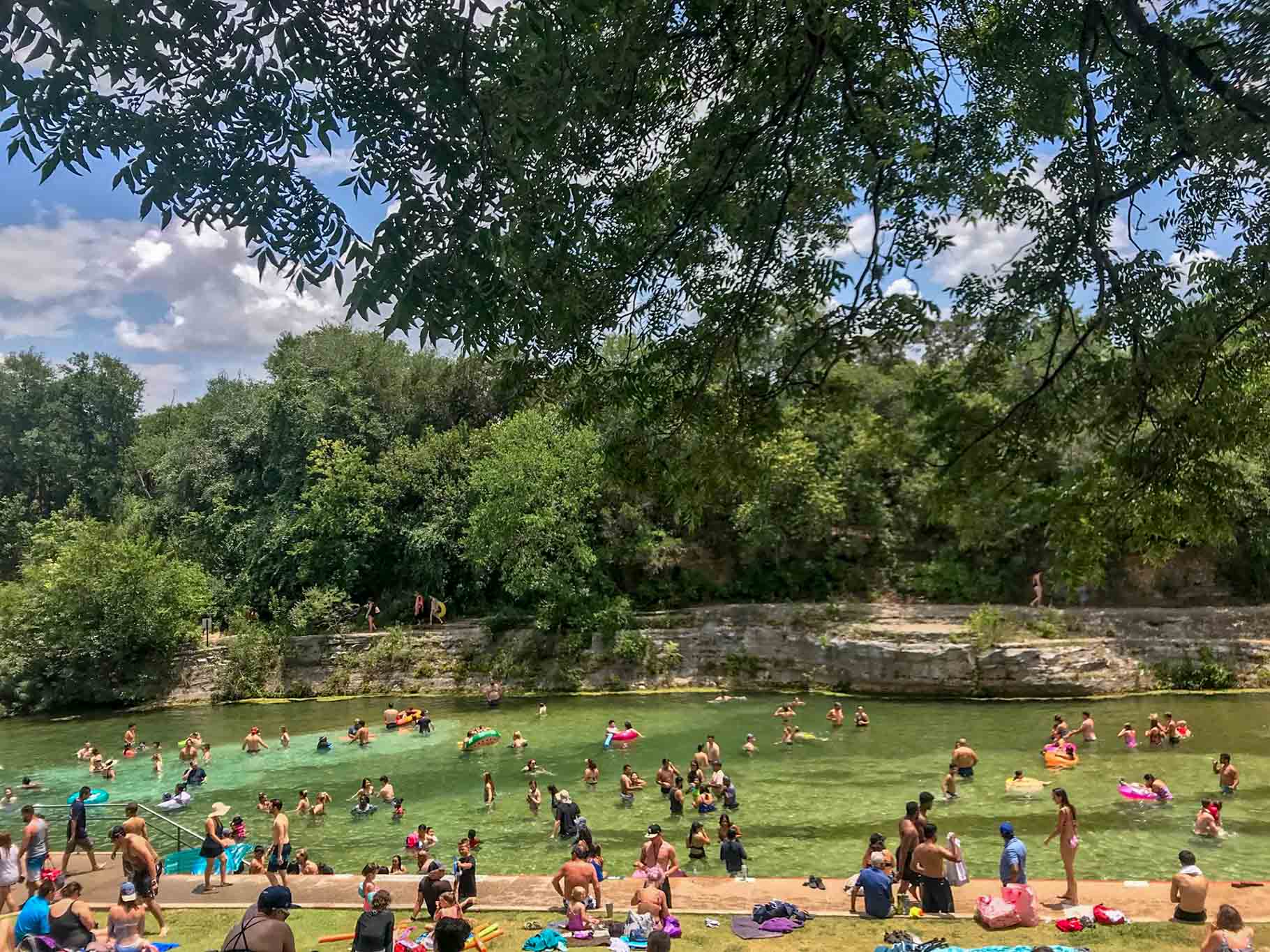 People swimming in the natural spring at Barton Springs Pool