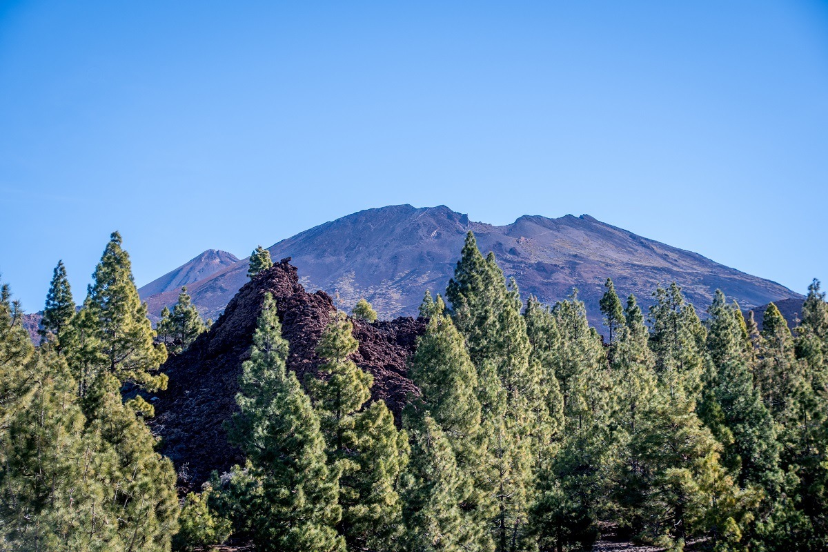 Views of Mt Teide from one of the scenic lookouts on the west side of the volcano. Taking photos of the Mount Teide Tenerife volcano is the best thing to do in the national park.