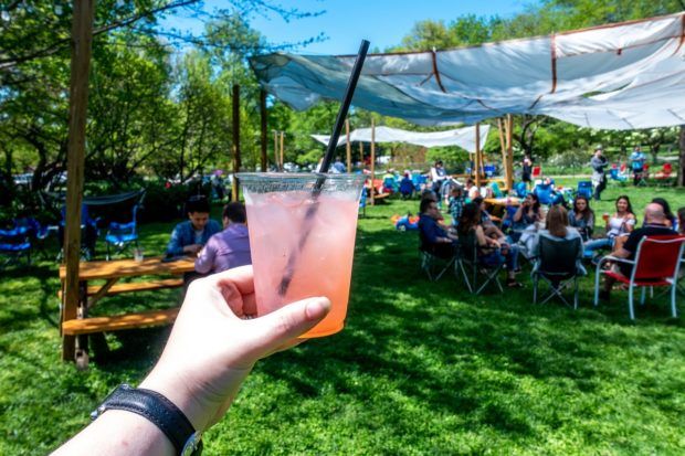 Fruity drink in front of a group of people in the park at Parks on Tap. Visiting the city parks for Parks on Tap is one of the fun things to do around Philadelphia in the summer.