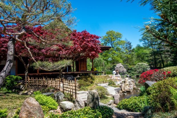 Shofuso Japanese House and Garden is one of the prettiest Philadelphia places to visit just outside the city center