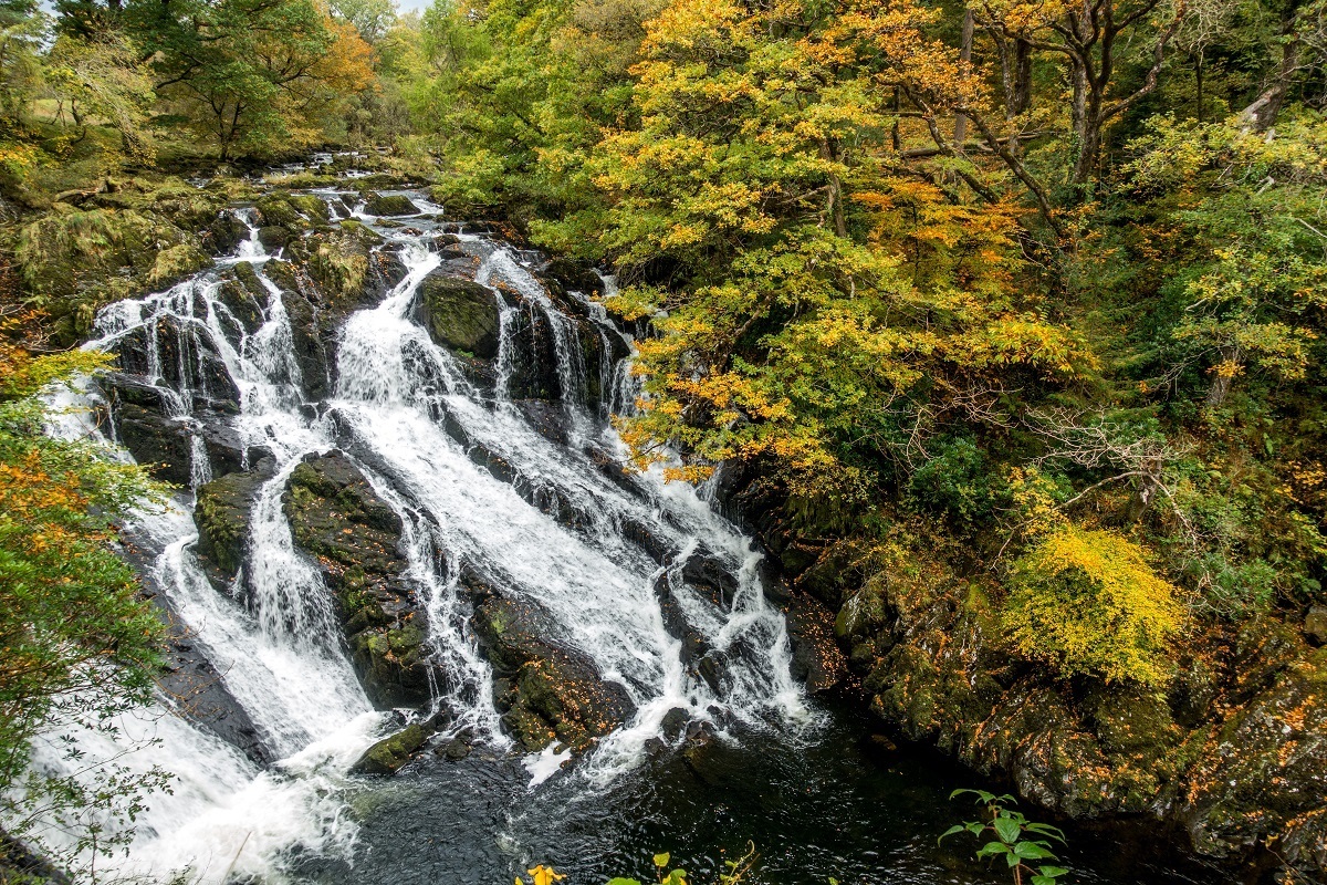 Waterfall surrounded by fall foliage at Swallow Falls in Snowdonia National Park