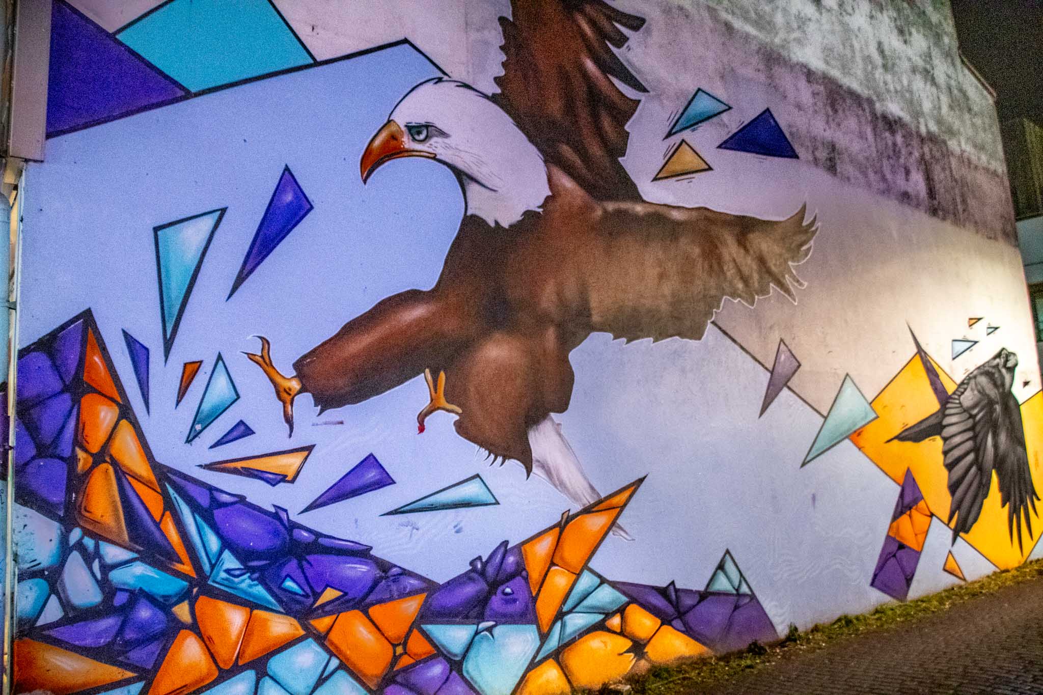 Wildlife and nature are common themes in Icelandic street art, such as this bald eagle mural.