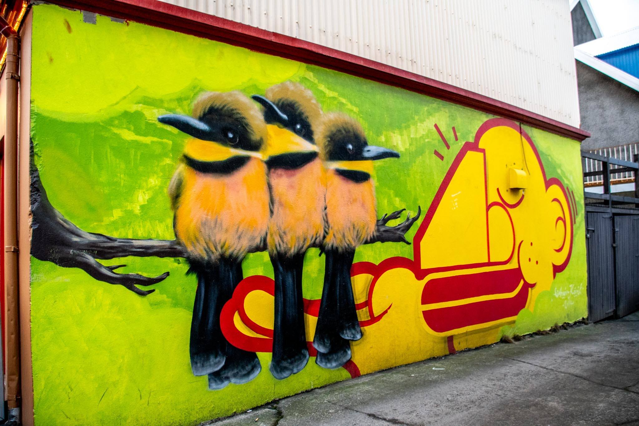 Excellent examples of Iceland street art can be found in the Reykjavik alleys and streets.