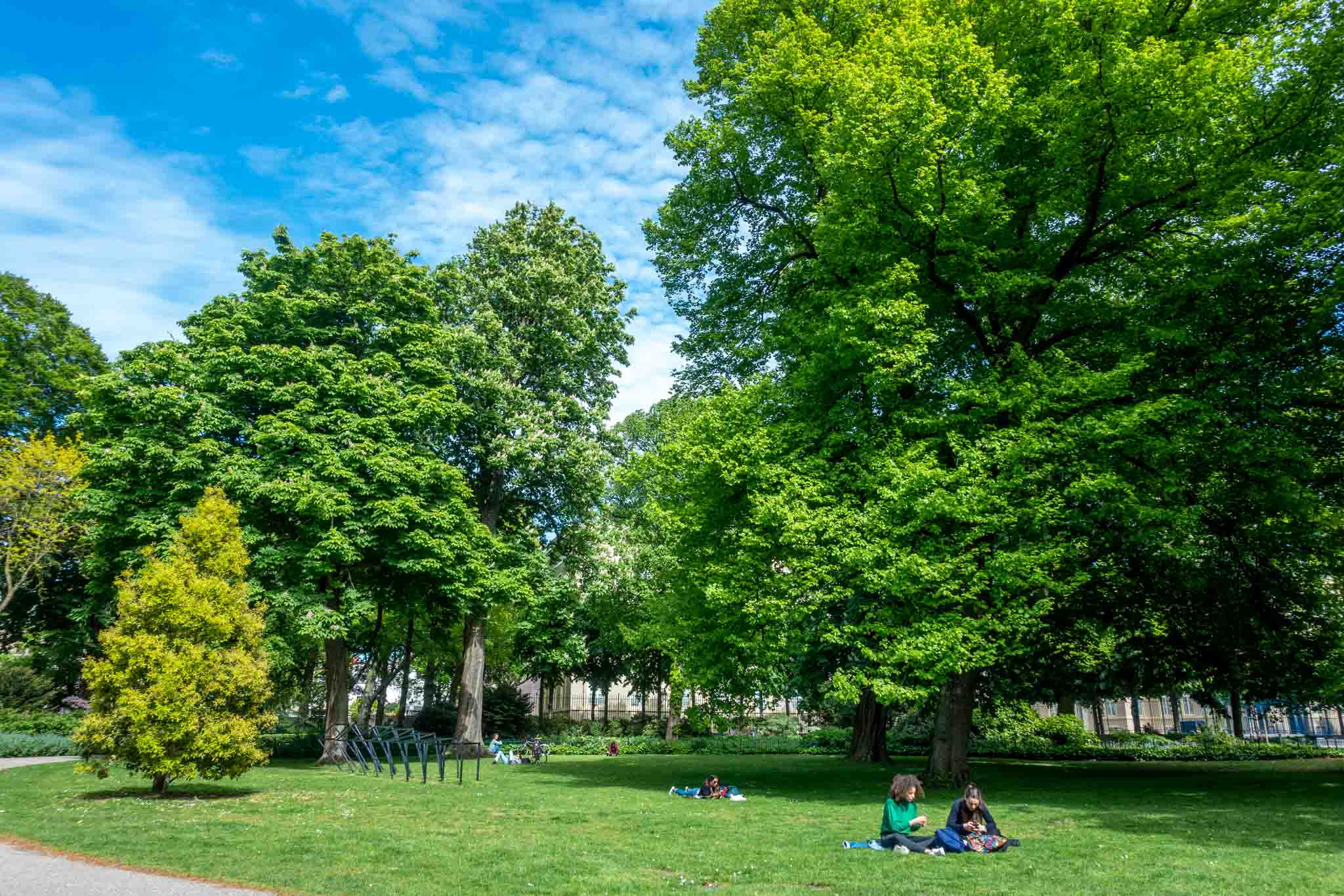 People lounging in the grass under trees