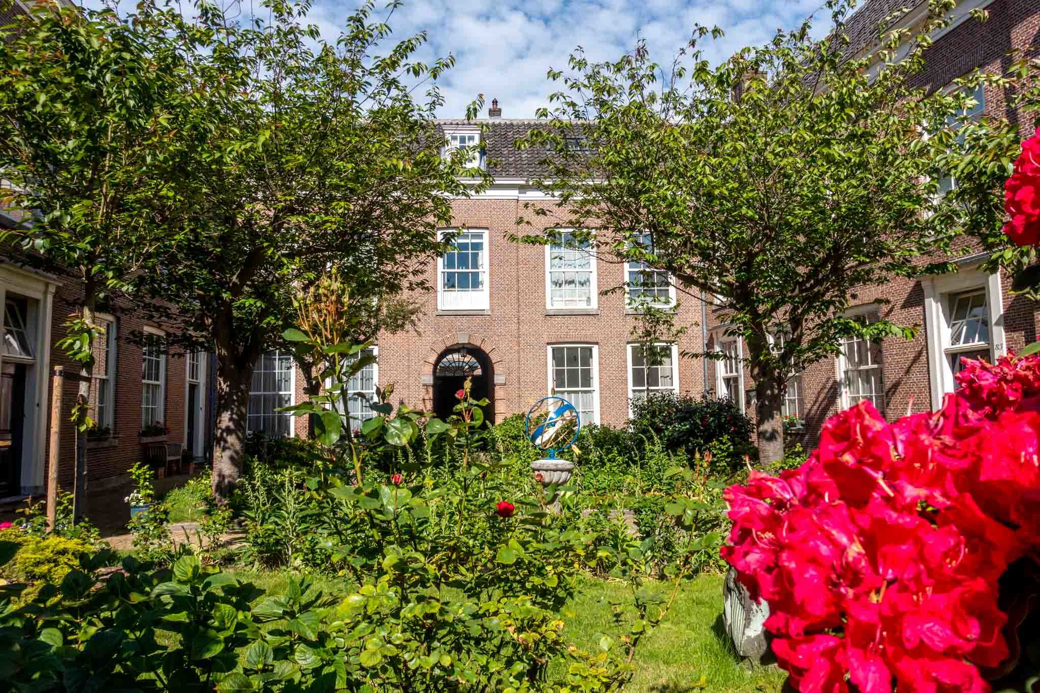 Flowers and plants in the lush courtyard of a building