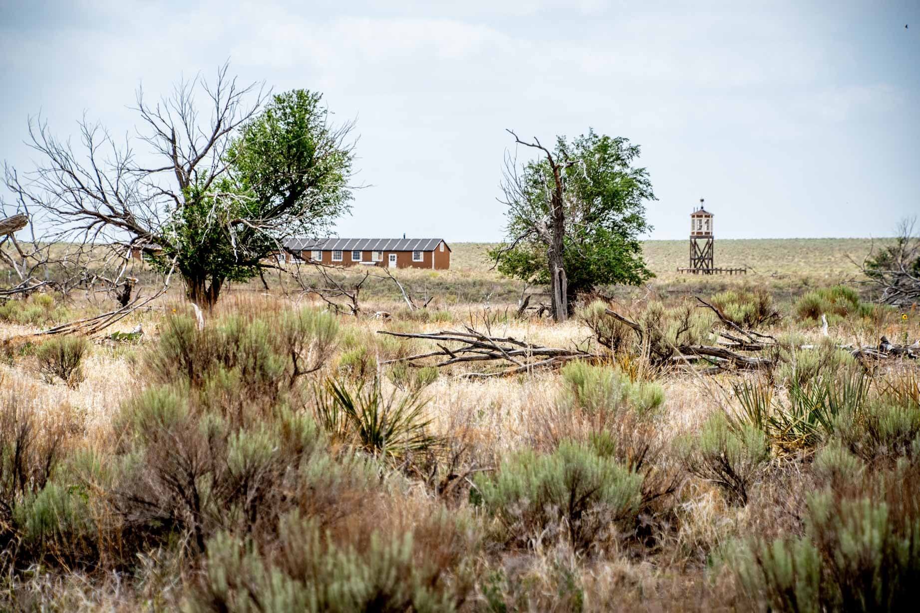 Barracks and guard tower through the trees