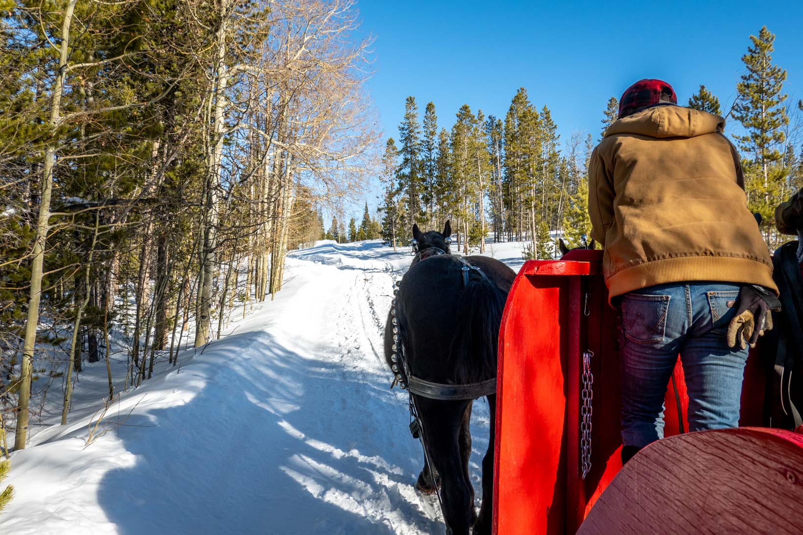 Sleigh ride at Snow Mountain Ranch
